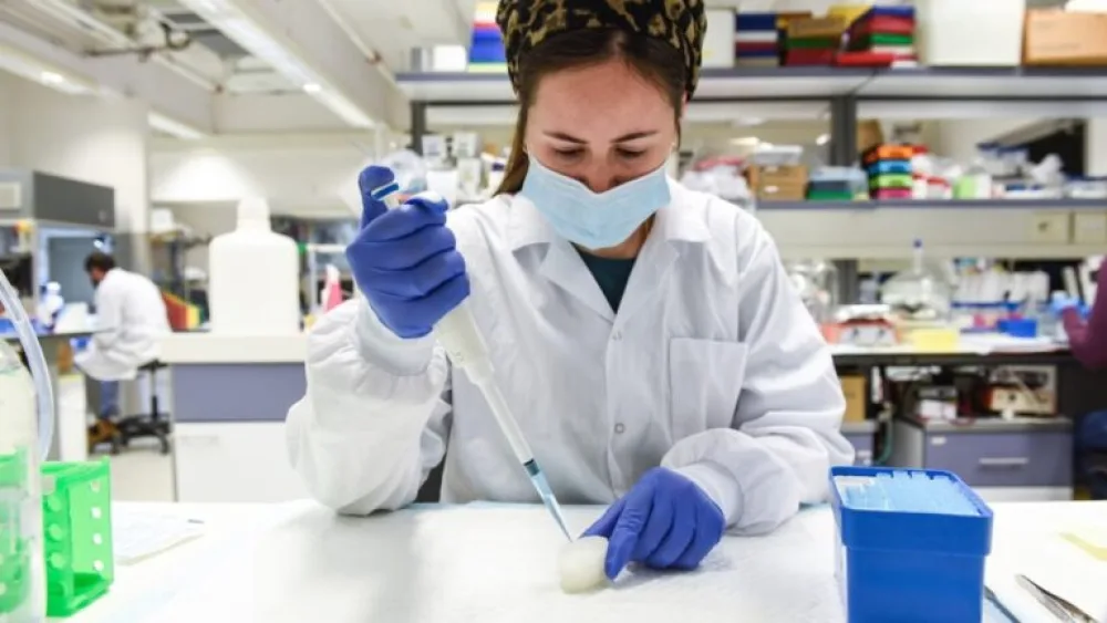 Technion researchers monitored cartilage formation within the auricle construct in the lab for between 10 days and six weeks. Photo courtesy of Technion Spokesperson’s Office