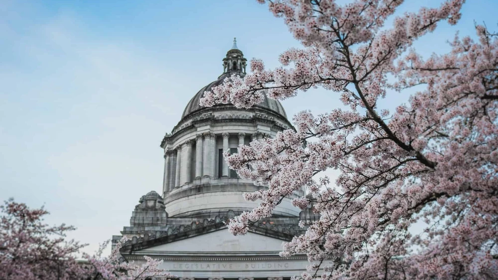 U.S. Capitol Building in Spring
