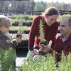 A family chooses plants in central Israel’s Eshtaul nursery for Tu B'Shvat in January 2011. Credit: Nati Shohat/Flash90