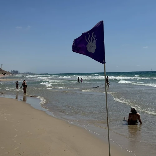 Bathers swim near a purple flag warning of jellyfish at a Tel Aviv beach, July 7, 2025. Photo by Howard Blas.