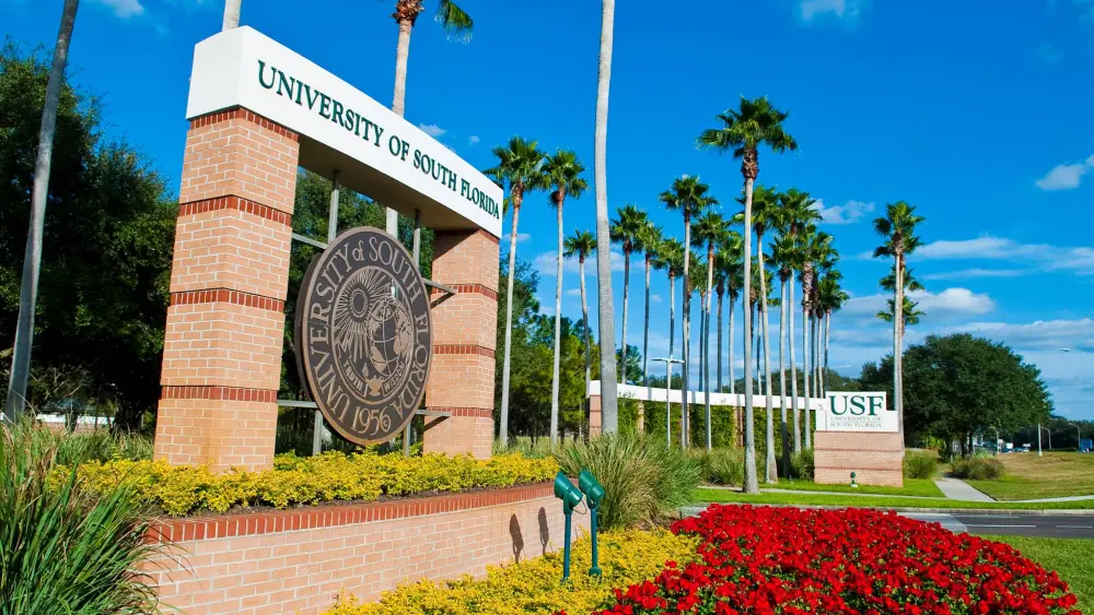 University of South Florida