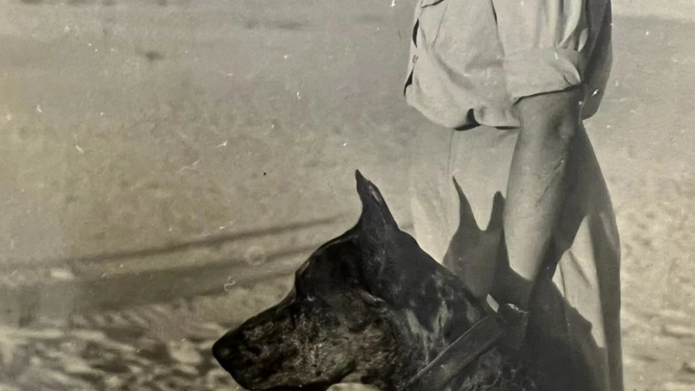 Esther Cohen joined the Haganah and then the IDF. Courtesy.