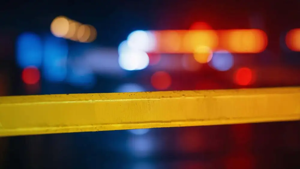 Luces de una patrulla policial. Crédito: geralt/Pixabay.