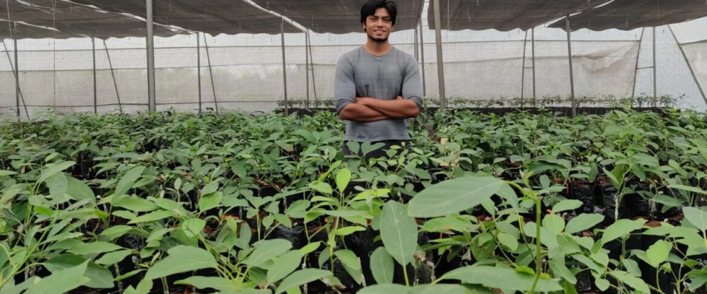Harshit Godha in his Indo-Israel Avocado nursery. Photo by Tanmay Godha.