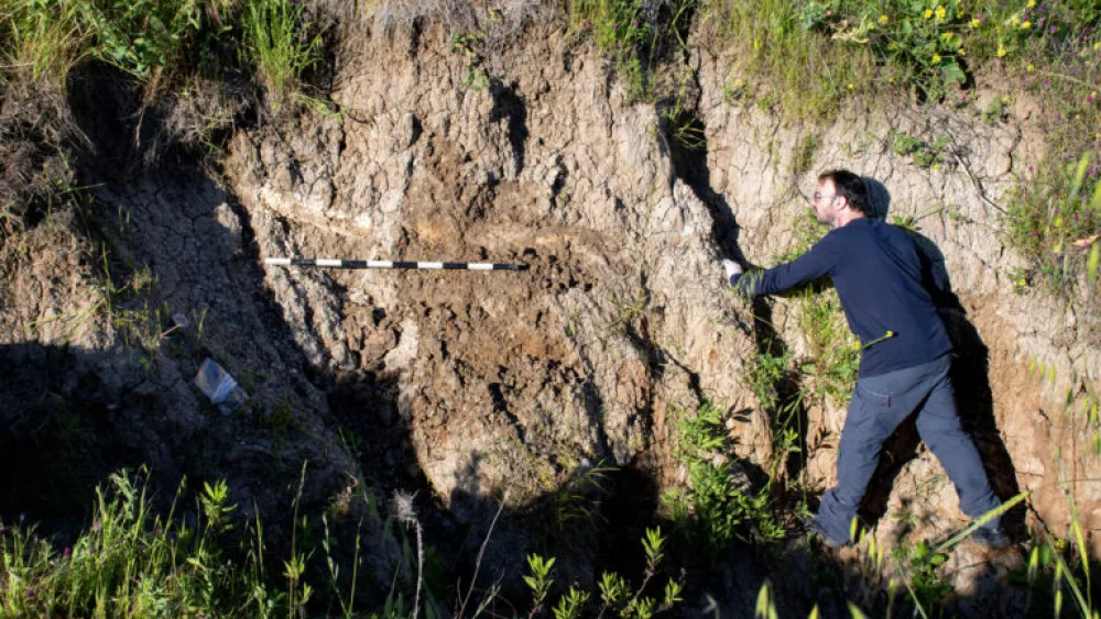The fossil was spotted sticking out of the ground near Kibbutz Revadim. Photo by Yoli Schwartz, Israel Antiquities Authority.
