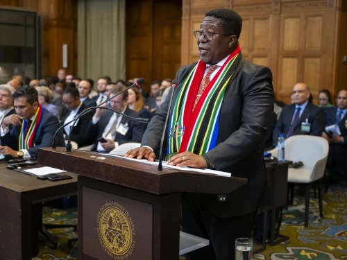 Vusimuzi Madonsela ICJ