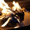 An open book on fire. Credit: Sergeyxsp/Shutterstock.