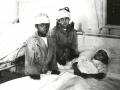 Wounded boys from the Hebron Massacre in 1929