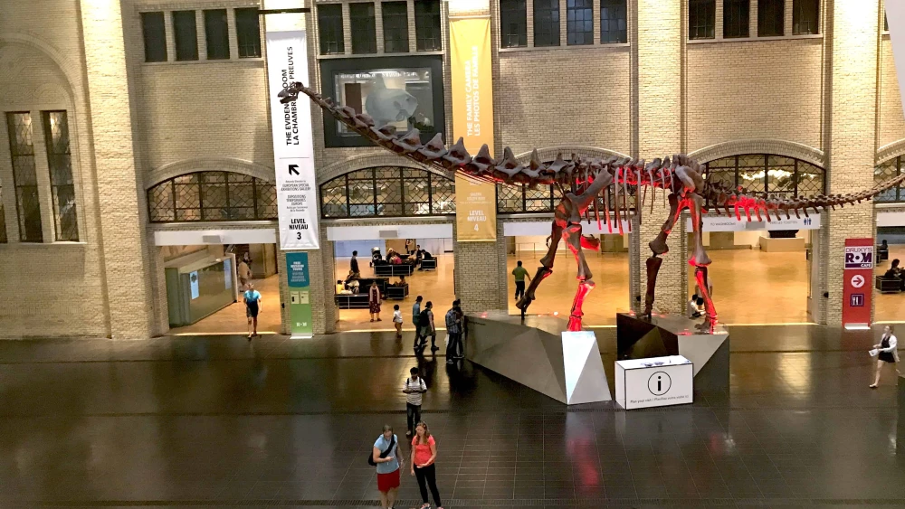 Royal Ontario Museum