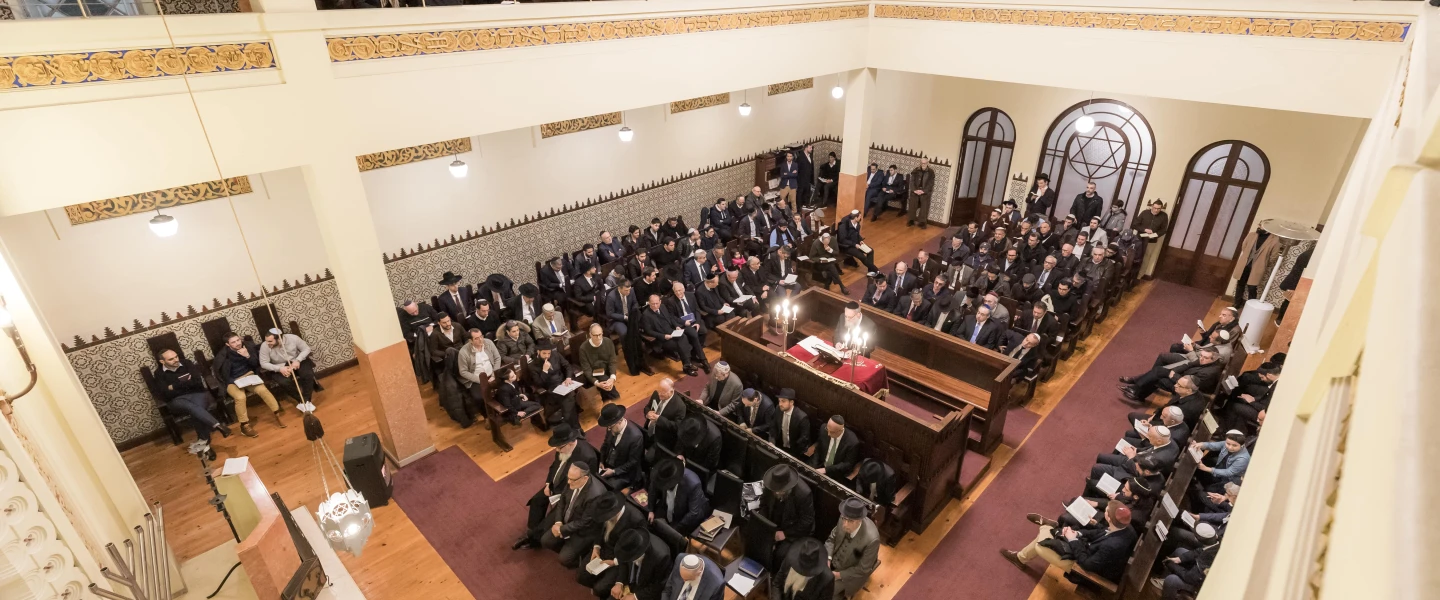Portugal is home to between 5,000 and 6,000 Jews with the majority in Lisbon and Porto, whose communities have around 500 formal members each. Credit: Jewish Community of Porto.