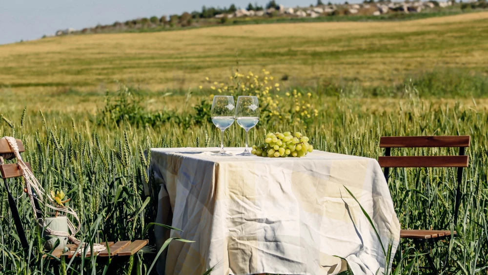 Bravdo Winery. Source: The Israel Innovation Fund.