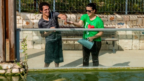 ALEH Negev, which hosts volunteers from around the world, provides manifold services, care and support to people with disabilities and special needs. Credit: JNF.