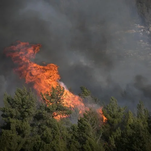 A forest fire nearing the treetops of Neve Ilan, outside of Jerusalem, Nov. 24, 2016. Photo by Yonatan Sindel/Flash90.