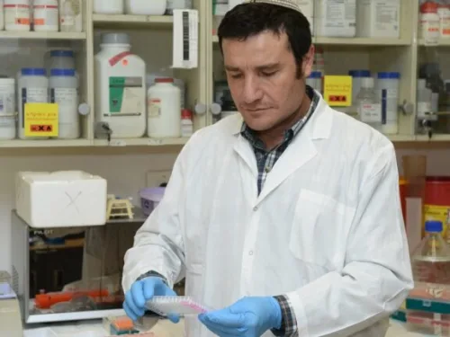 Professor Haim Cohen. Photo courtesy of Bar-Ilan University.