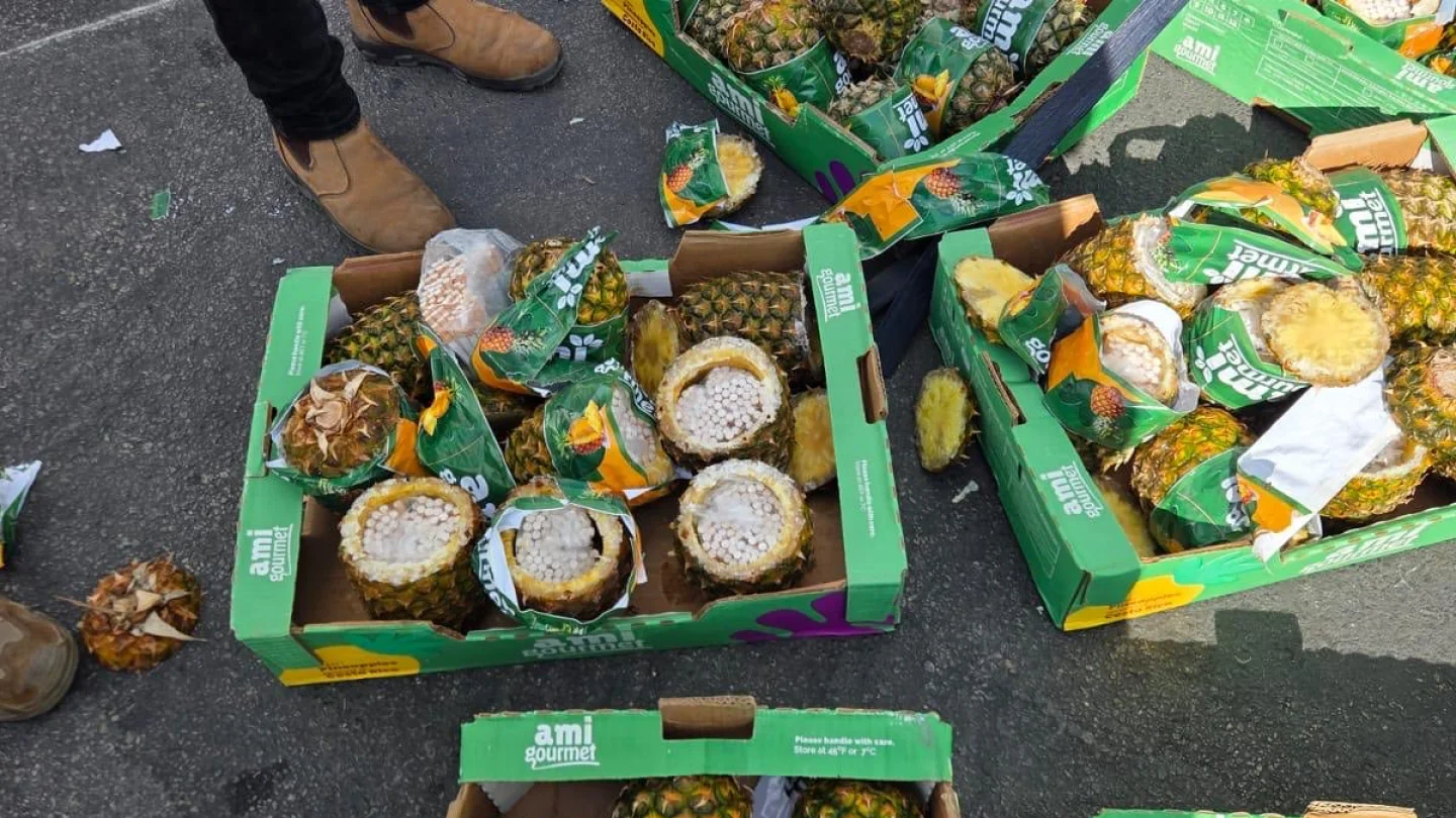 Thousands of cigarettes found hidden inside Gaza pineapple shipment