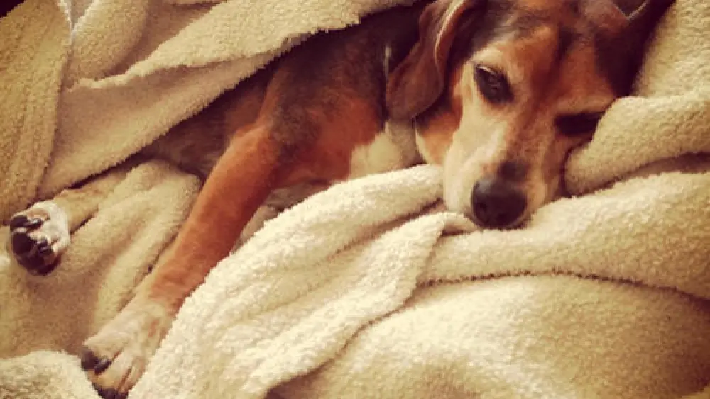 Millie Rudee. Credit: Eliana Rudee.