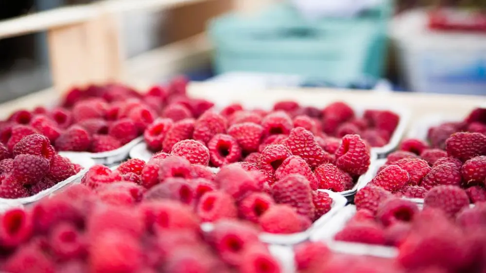 Raspberries. Credit: Pixabay.