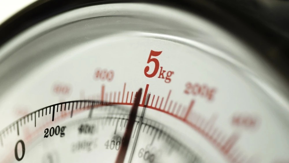 Scale. Credit: Pixabay.