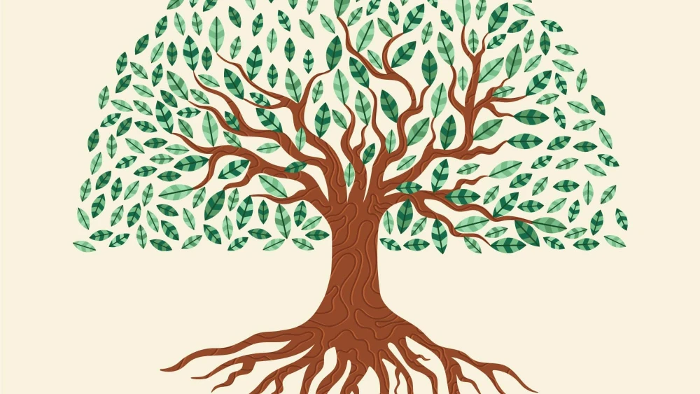 Family tree. Credit: Freepik.