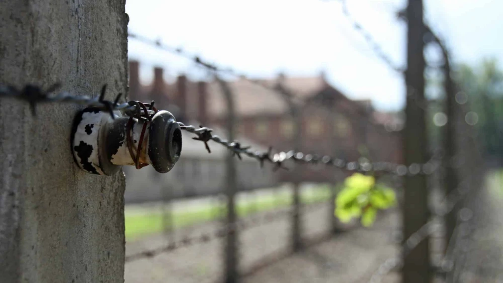 Barbed Wire, Auschwitz, Concentration Camp