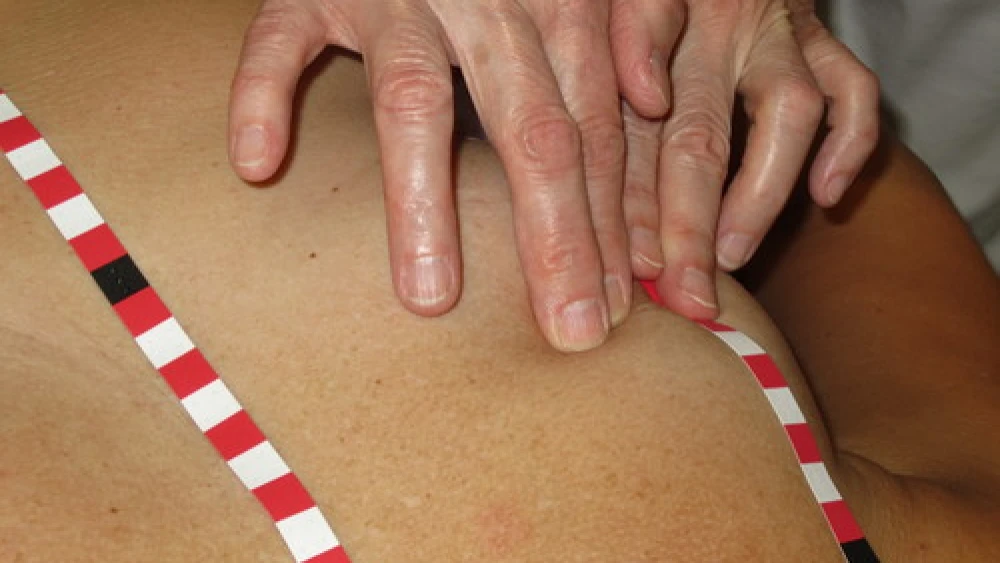 The Medical Tactile Examiners (MTEs) use self-adhesive stripes with tactile orientation points to identify abnormalities in the breast. Credit: Dr. Frank Hoffmann, Discovering Hands.