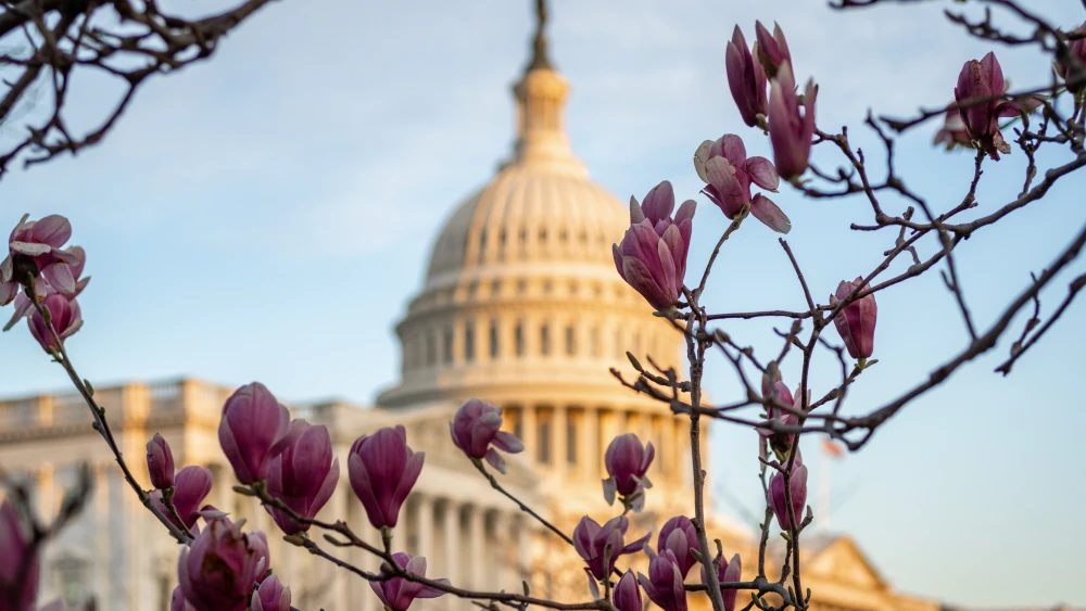 US Capitol Congress DC