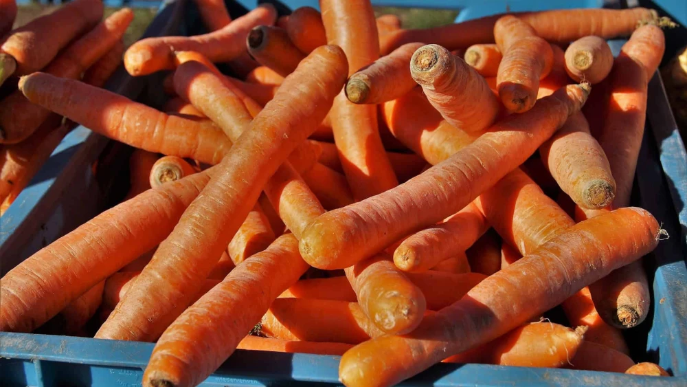Carrots