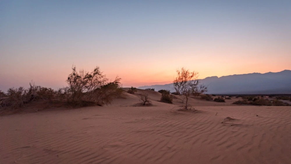 The Sands of Samar, a dune expanse in the Arava region of southern Israel, near Eilat, on Aug. 30, 2019. Photo by Mila Aviv/Flash90.