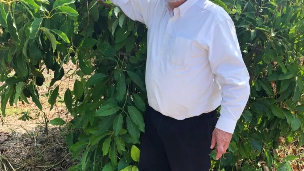 Sandy Colb with an avocado tree on his Hatov V’Hameitiv charity farm. Photo courtesy of Sandy Colb.