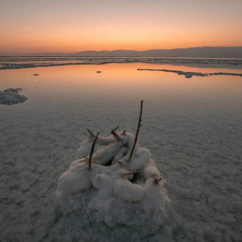 Salt formations on the Dead Sea shore, July 7, 2020. Photo by Mila Aviv/Flash90.