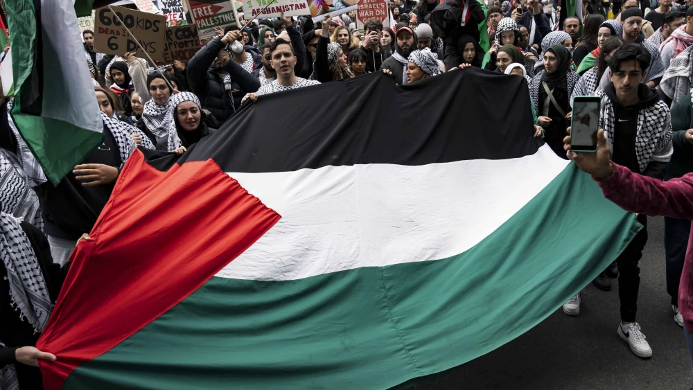 Pro-Palestine Rally in Melbourne, Australia