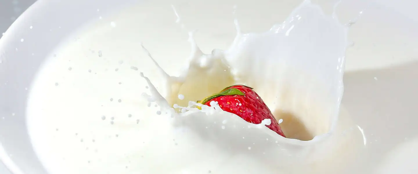 Milk, Dairy