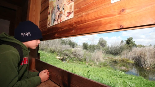 A child visits the Jerusalem Bird Observatory, which houses the Israel national bird-ringing center. Together with the active ringing station, it serves as a tool for conservation studies and research that monitor bird populations. Credit: Photo by Yossi Zamir/Flash90.