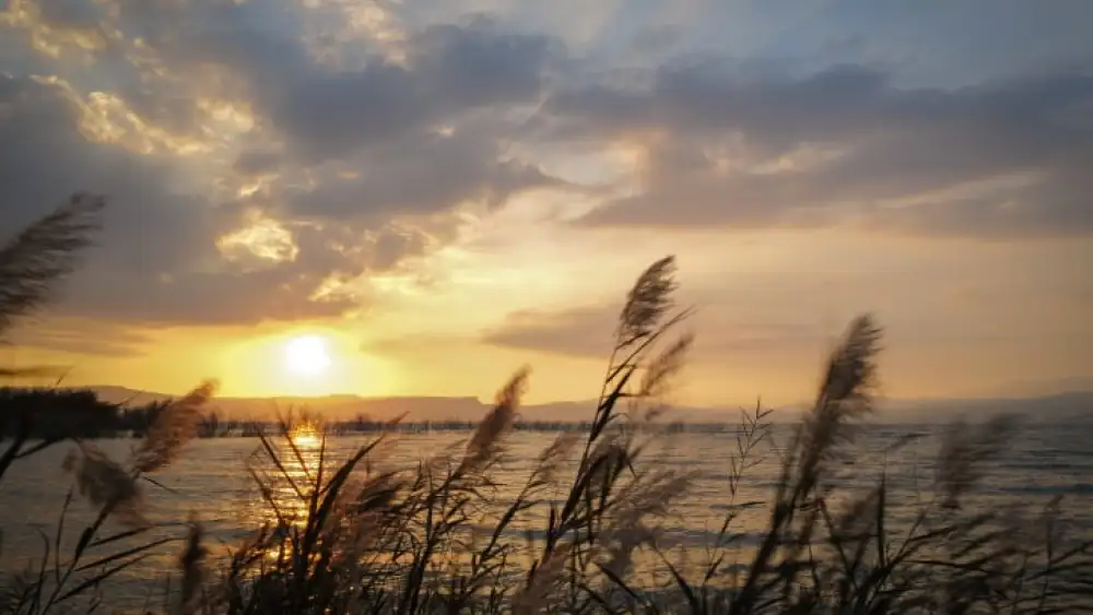 The Sea of Galilee, Feb. 22, 2024. Photo by Michael Giladi/Flash90.