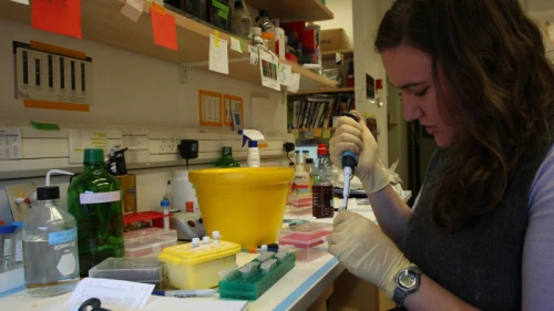 Breast cancer researchers in a Ben-Porath lab in Hadassah university. The lab is trying to understand why certain cancerous cells are able to spread through the body and develop targeted therapies for cancer patients. Jan 12 2011. Photo by Keren Freeman/Flash90.