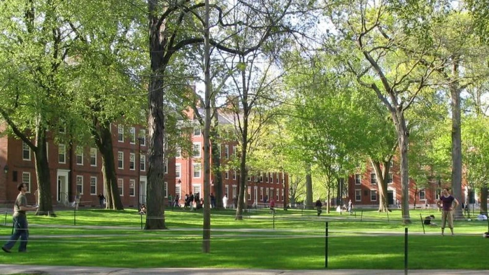 Harvard Yard on the university’s campus in Cambridge, Mass. Credit: Wikimedia Commons.