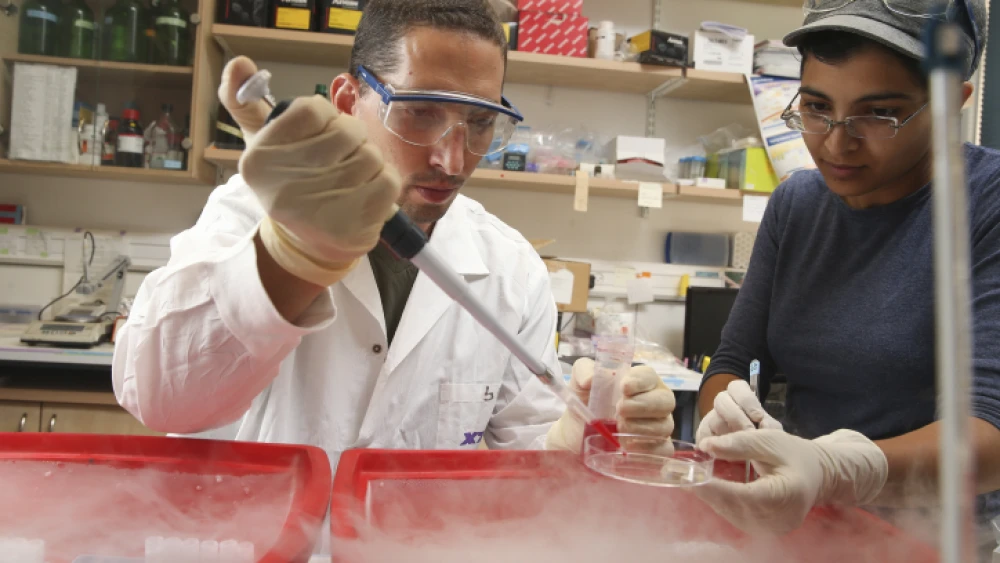 Dr. Ronny Helman and his team conduct research in the search for a cure for diabetes, at Hadassah Medical Center in Jerusalem's Ein Kerem on Aug. 12, 2013. Photo by Nati Shohat/Flash90.
