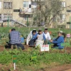 Renewal in Jerusalem's Kiryat Menachem neighborhood, helped by urban kibbutz Reishit. Credit: World Center for Jewish Education.