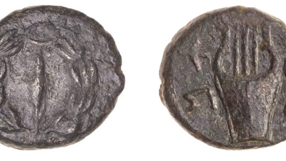 The 2,000-year-old coins that date back to the period of the Jewish revolts against the Romans, July 13, 2021. Credit: Tal Rogovsky.
