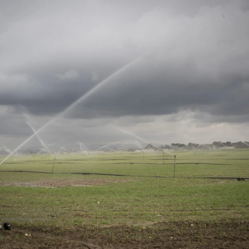 Sprinklers water the plantation fields near the southern Israeli city of Sderot, on Jan. 21, 2017. Photo by Nati Shohat/Flash90.