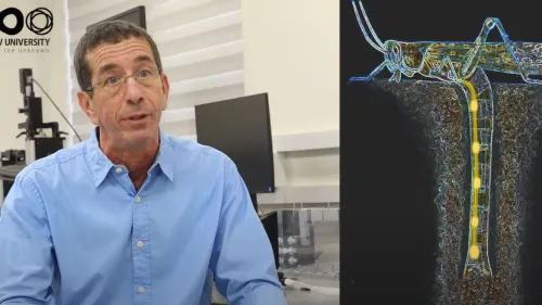 Professor Amir Ayali of the School of Zoology in the Wise Faculty of Life Sciences at Tel Aviv University. Source: YouTube