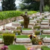 An Israeli soldier salutes at the Mount Herzl Military Cemetery in Jerusalem, on the eve of Israel's Memorial Day, April 26, 2020. Photo by Olivier Fitoussi/Flash90.