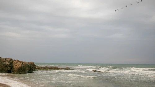 View of the Palmachim beach following an offshore oil spill that caused tons of tar to wash up on most of Israel's coastline. Feb. 23, 2021. Photo by Yossi Aloni/Flash90.