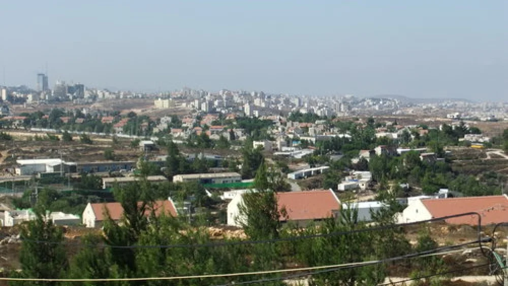 Zeev elkin