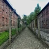 Auschwitz Color