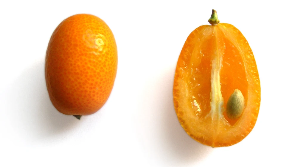 Kumquat. Credit: Wikimedia Commons.