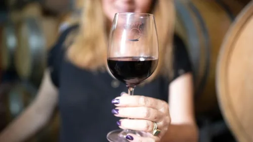 Women in Israel are becoming less of a rare sight at the intersection between agriculture and business. Photo by Nir Shmul.