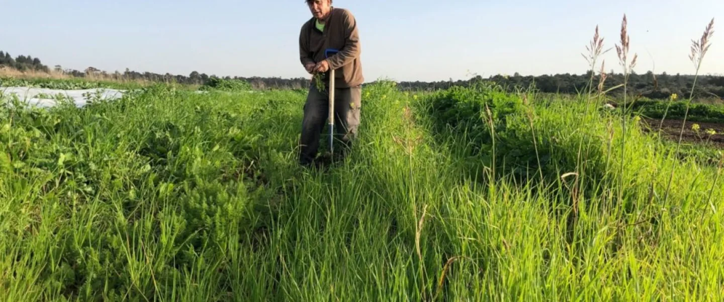 Ben Rosenberg will let his organic farm rest during the Jewish sabbatical year. Credit: Ben’s Farm.