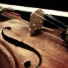 Violin