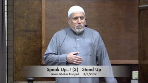 Egyptian American Imam Shaker Elsayed of the Dar Al-Hijrah Islamic Center in Fairfax County, Va. Credit: Screenshot.